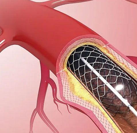 bifa必发·(中国集团)唯一官方网站